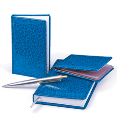 Ежедневники, визитницы, органайзеры 